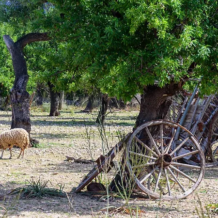 Subies Farmház Selva